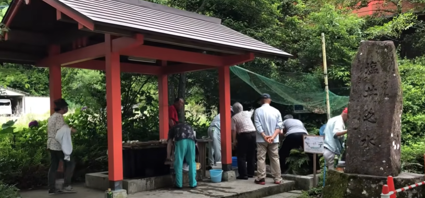 神社　池　金魚